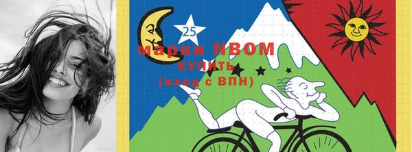 крисы Володарск