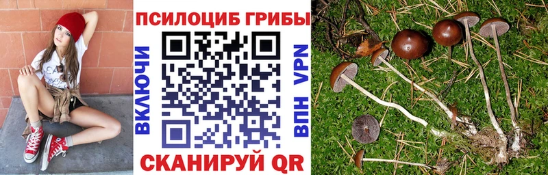 Галлюциногенные грибы GOLDEN TEACHER  наркотики  гидра сайт  Глазов 